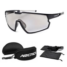 Arctica UV400 Black Photochromatic Polarized Sunglasses + Case - S-333FP