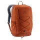 2. DEUTER GOGO COPPER-OAK 3813224-5119