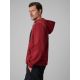 3. Men's regular hooded sweatshirt 4F 4FRSS26TSWSM2975-20S