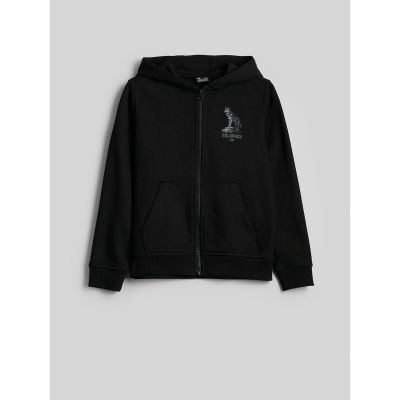 6. Boy's regular hooded sweatshirt 4F 4FJKAW26TSWSM3153-20S
