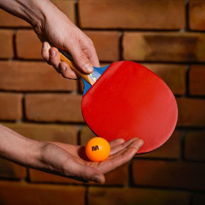 18. Set of 2 Meteor Zephyr 15021 table tennis bats