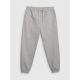 8. Men's jogger sweatpants 4F 4FRAW25TTROM1832-27M