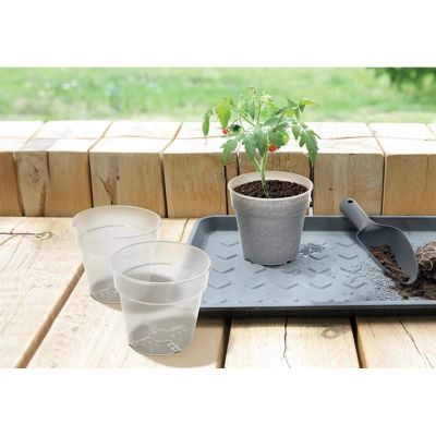 11. PLANTI POT TRANSPARENT 12CM