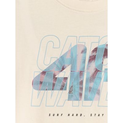 6. Men's regular printed T-shirt 4F 4FRSS26TTSHM4295-11S