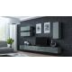 2. VIGO '90' full display cabinet 90/35/32 gray/gray gloss