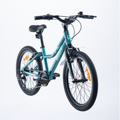 2. Children's Bike Radvik Viking 20 92800597756