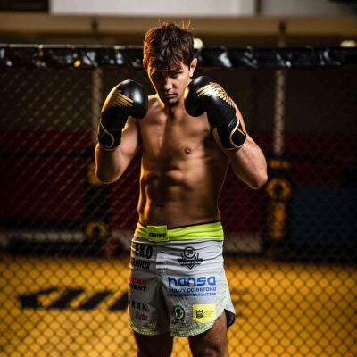 48. 8oz Boxing Gloves - Hawk - Origin Series