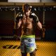 48. 8oz Boxing Gloves - Hawk - Origin Series