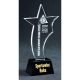 3. Engraved glass trophy + paint filling