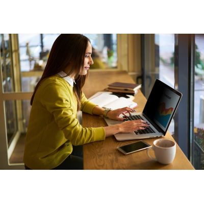 3. 3M Bright Screen Privacy Filter Dell 16.16:10.BPNDE007