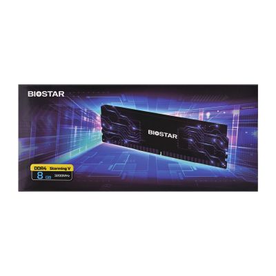 4. DDR4 Biostar 8GB 3200MHz Heatsink Storming Vseries memory