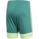 5. Adidas M Tastigo 19 Shorts DP3251 shorts
