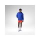 2. ROSSIGNOL Sapa Short 5' men's shorts red
