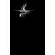 9. Ledlenser P7R 502187 flashlight