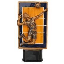 Volleyball Trophy RFST3065/BR/Y