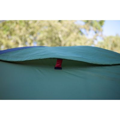 10. Coleman Darwin 3 Plus 3-Person Tent Green - Gray