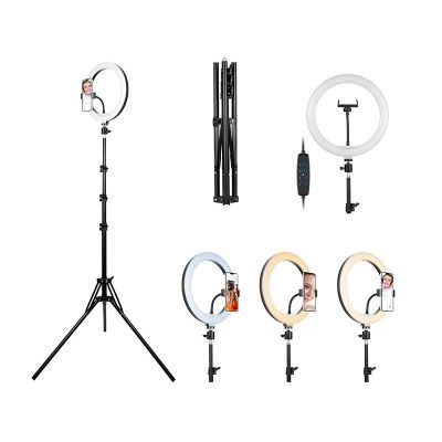 3. TRACER RING LAMP 30CM TRIPOD