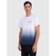 Men's regular printed T-shirt 4F 4FRAW25TTSHM3226-31S