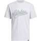 2. adidas Varsity Tailsweep Graphic Men's T-Shirt Gray KS2179