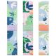 Fitness Band Set Spokey THE HARMONY BAND SET