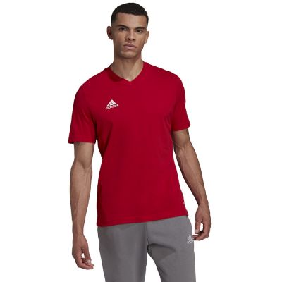 2. adidas Entrada 22 Tee M HC0451