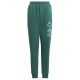 6. Pants adidas Bluv Q3 Pant Jr. IA1553