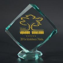 Engraved glass trophy with case + paint filling