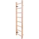 13. GYMNASTIC BENCHK 100 LADDER