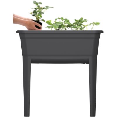 10. STANDING GREENHOUSE SEEDBED RESPANA SET ECOLINE 59.6x36.8x75.3CM ANTHRACITE