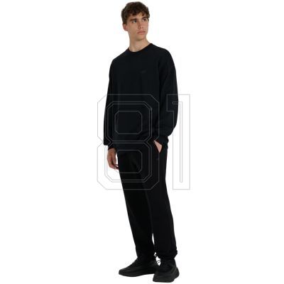 11. 4F M 4FWAW25TSWSM1924 20S sweatshirt