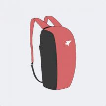 EXPLORER V BACKPACK PINK