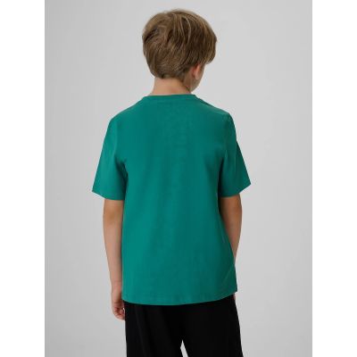 2. Boy's regular printed T-shirt 4F 4FJKAW26TTSHM4456-46S