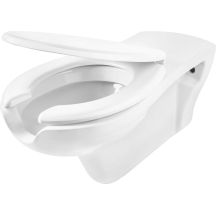 Wall-hung toilet for people with limited mobility