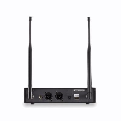 Soundsation WF-D290HP MKII-A2 - dual UHF wireless system (digital)