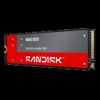 2. Sandisk 960 GB NAS 800 NVMe™ SSD SDSNP2960GAN