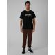 4. Men's regular printed T-shirt 4F 4FRSS26TTSHM4227-20S