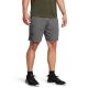 2. UNDER ARMOUR UA Vanish Woven Shorts Gray (1370382-025)