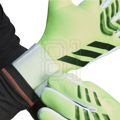 5. adidas Predator GL LGE JN5370 Gloves