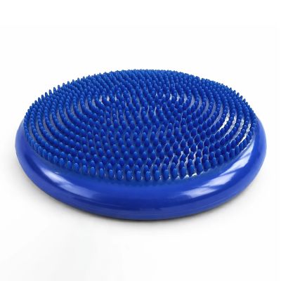 Wozinsky WPSD-01 sensory cushion for rehabilitation hedgehog - blue