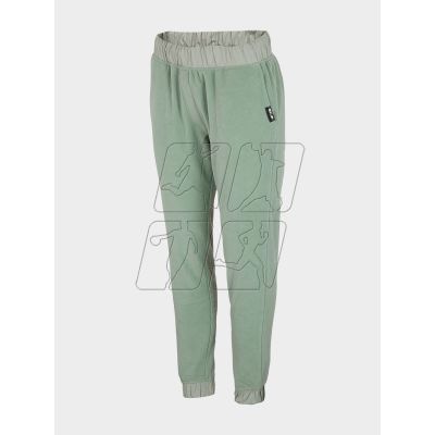 Trousers 4F W H4Z21-SPDD010-42S