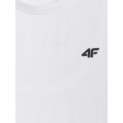 6. Men's regular plain T-shirt 4F 4FRMM00TTSHM4192-10S