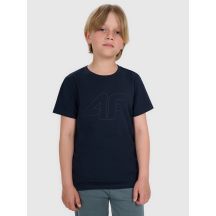 Boy's regular printed T-shirt 4F 4FJRMM00TTSHM3255-31S