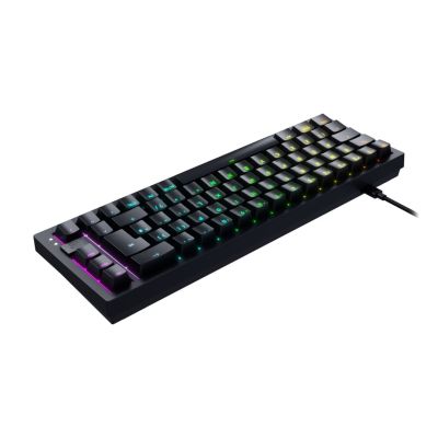 2. CHERRY K5V2 Compact Gaming Keyboard USB QWERTZ German Black