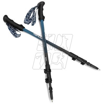 3. Trekking sticks Spokey CARBON 940974