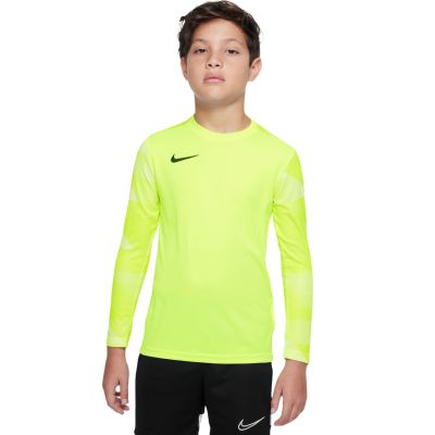 10. Nike Dry Park IV JSY LS GK Jr CJ6072-702 Jersey
