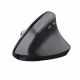 17. Trust BAYO+ ERGONOMIC WIRELESS Black mouse