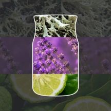 Medium Candle MIDSUMMER NIGHT YANKEE