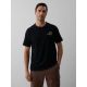 Men's regular printed T-shirt 4F 4FKAW26TTSHM4477-20S