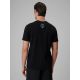 4. Men's regular printed T-shirt 4F 4FRSS26TTSHM4321-20S