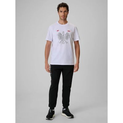 4. Men's fan t-shirt 4F 4FRSS26TTSHM4438-10S